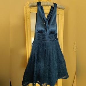 Adrianna Papell Dress Blue Roses 6